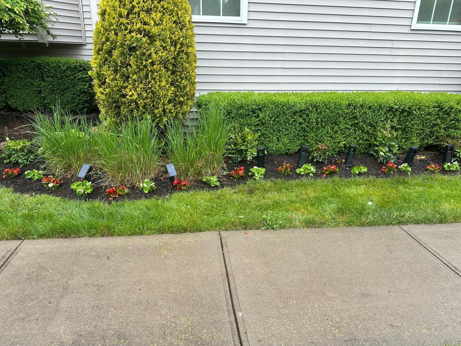 J Salazar Ladscaping