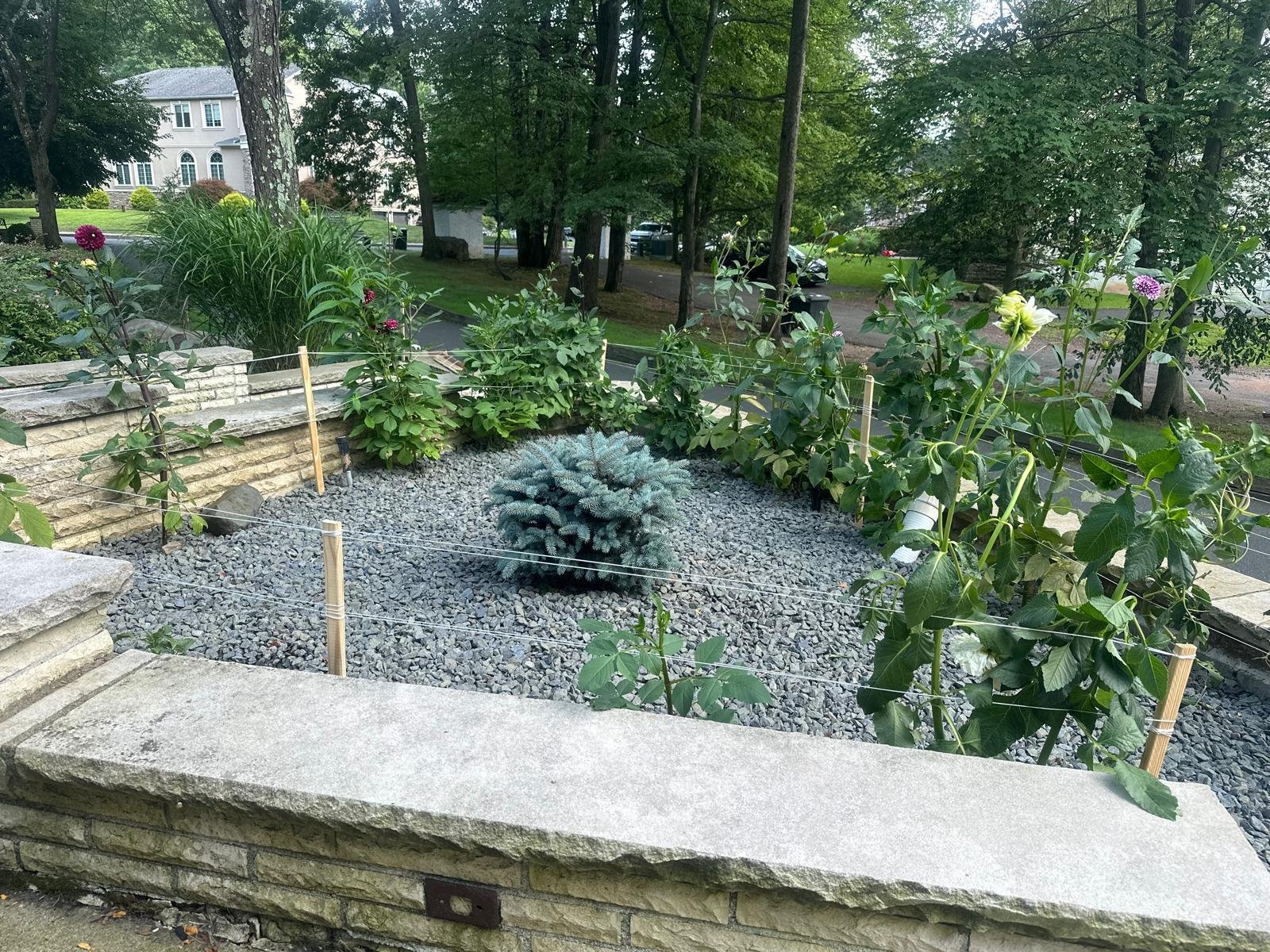 J Salazar Ladscaping